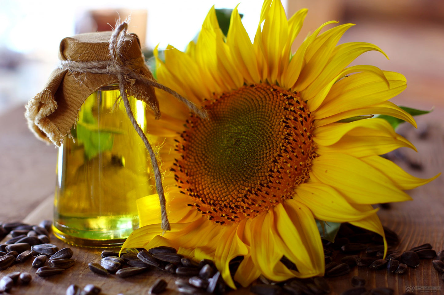 Solar Infused Spray Oil (Calendula or Chamomile)